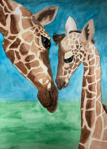 Giraffes Watercolor